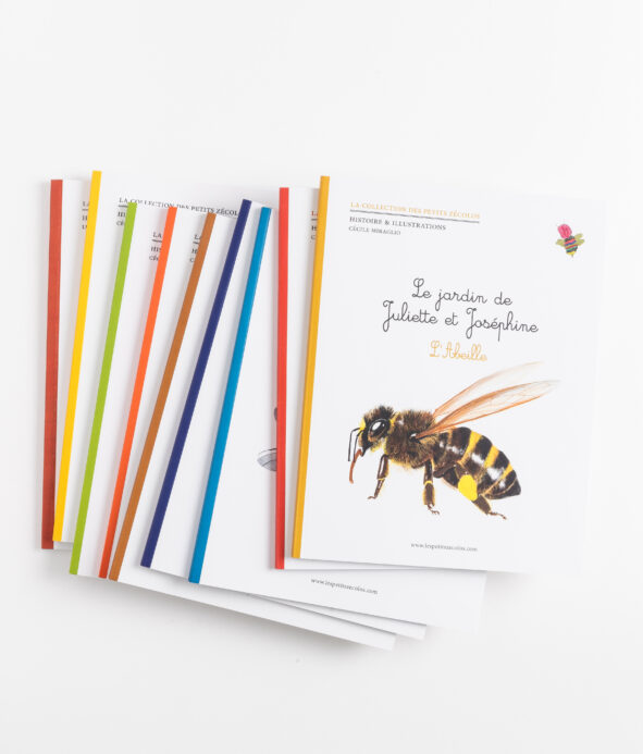 abeille, coccinelle, libellule, bousier, cigale, gendarme, phasme, guepe, à la rencontre des petites bêtes de Jean-Henri Fabre